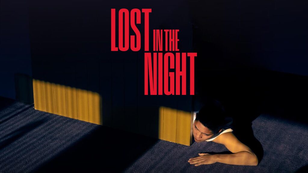 lost in the night