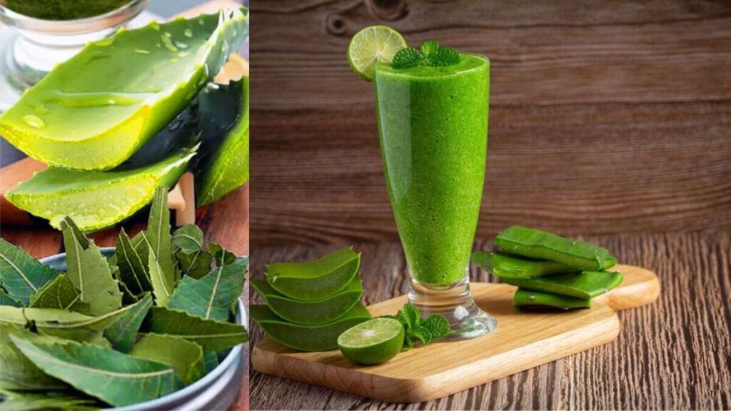 नीम और एलोवेरा जूस के फायदे I wellhealthorganic.com : neem and aloe vera juice benefits